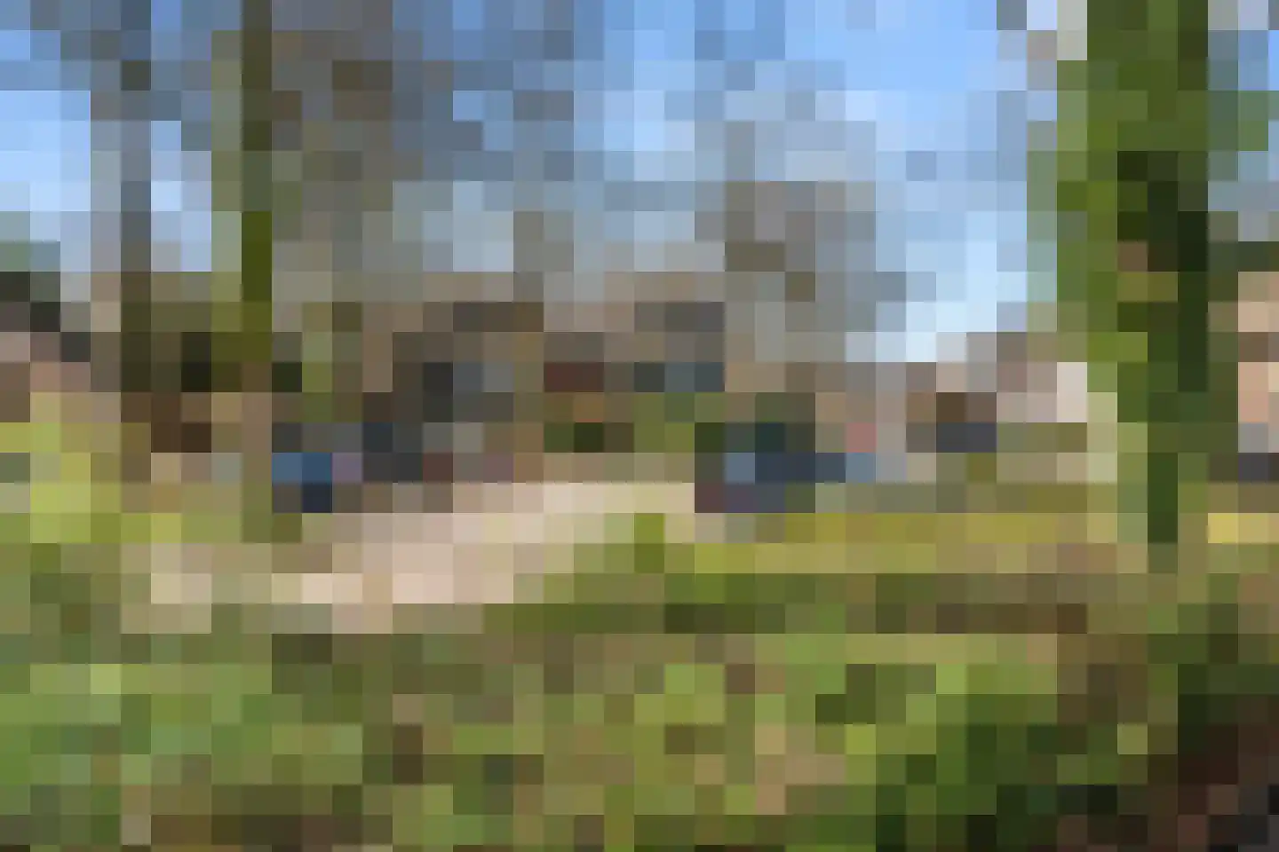 Roghorst 313 Wageningen thumbnail 4