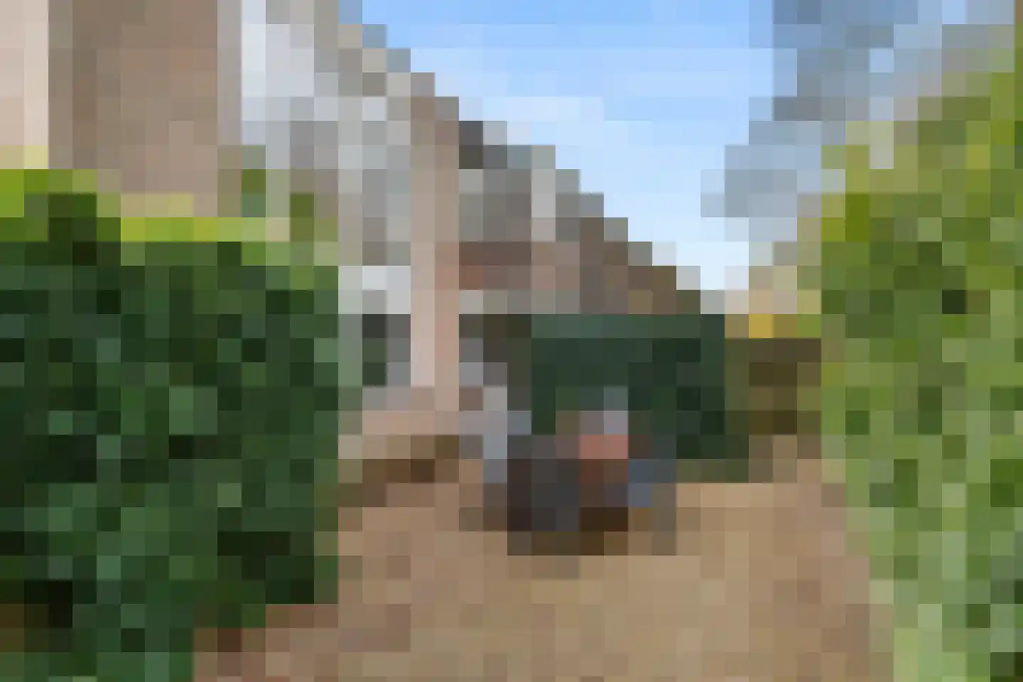 Roghorst 313 Wageningen thumbnail 42