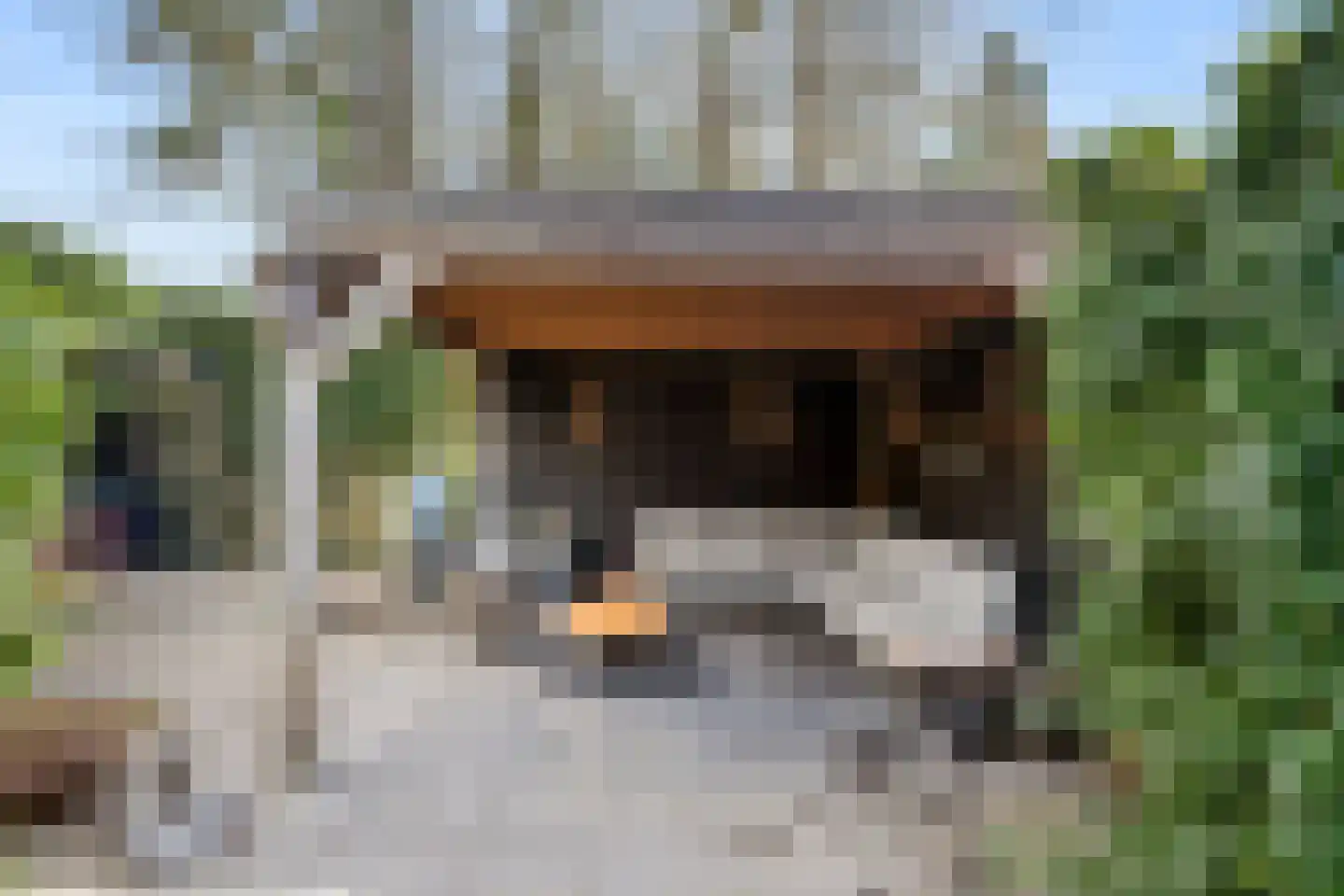 Roghorst 313 Wageningen thumbnail 43