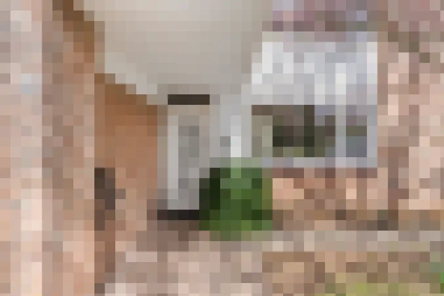 Roghorst 313 Wageningen thumbnail 5