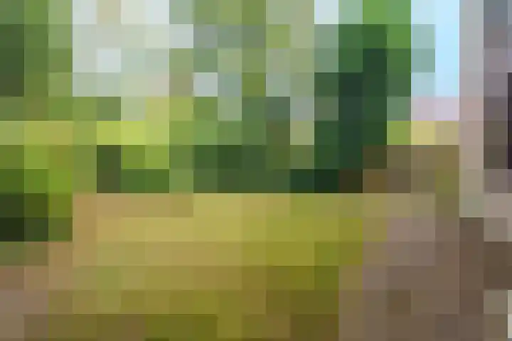 Roghorst 317 Wageningen thumbnail 26