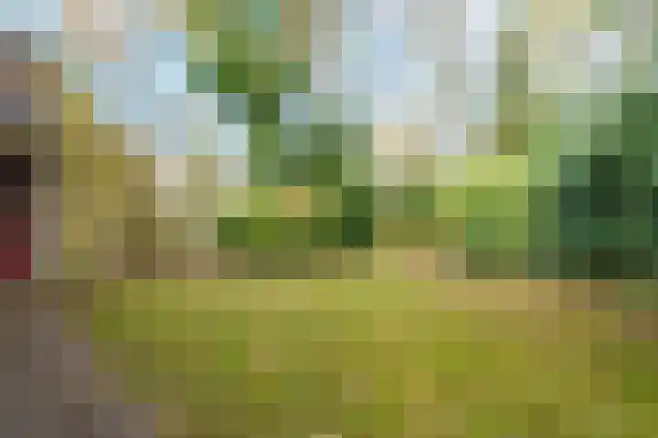 Roghorst 317 Wageningen thumbnail 27