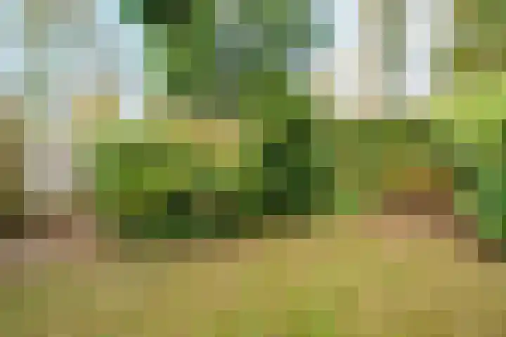 Roghorst 317 Wageningen thumbnail 28