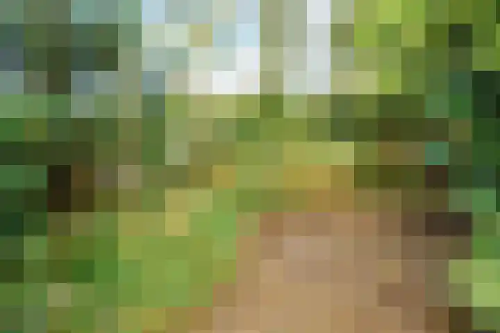 Roghorst 317 Wageningen thumbnail 29