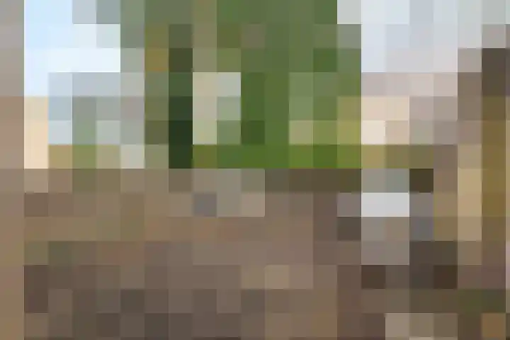 Roghorst 317 Wageningen thumbnail 31