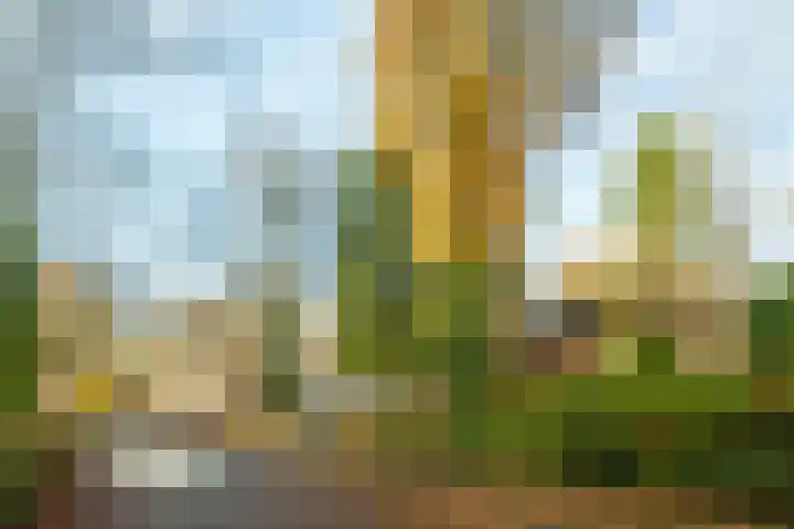 Roghorst 317 Wageningen thumbnail 34