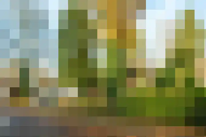 Roghorst 317 Wageningen thumbnail 36