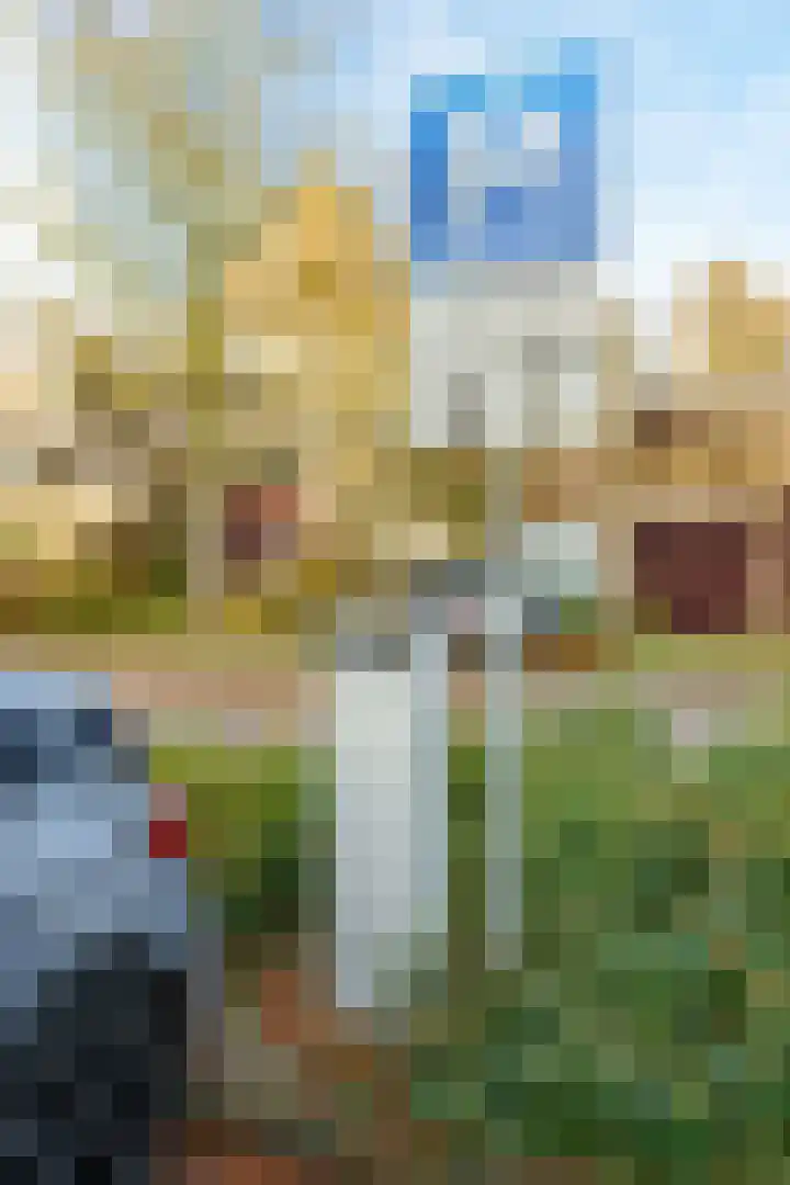 Roghorst 317 Wageningen thumbnail 37