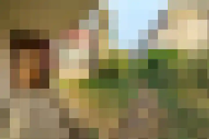 Roghorst 317 Wageningen thumbnail 4