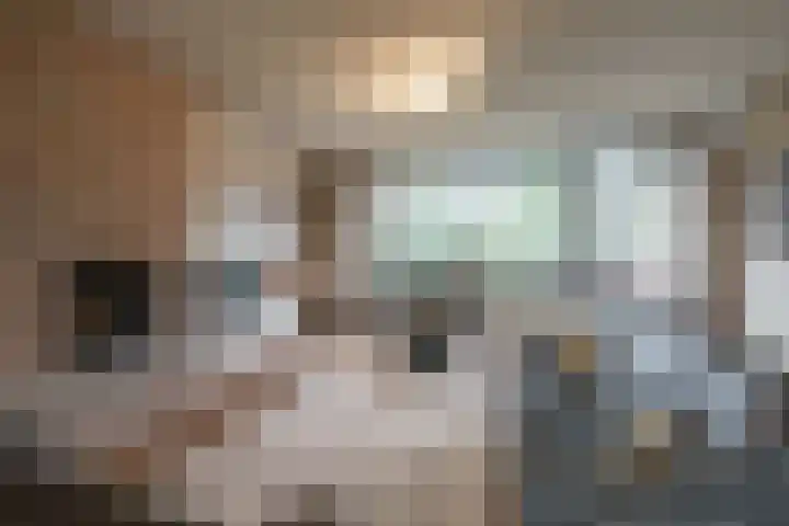 Roghorst 317 Wageningen thumbnail 7