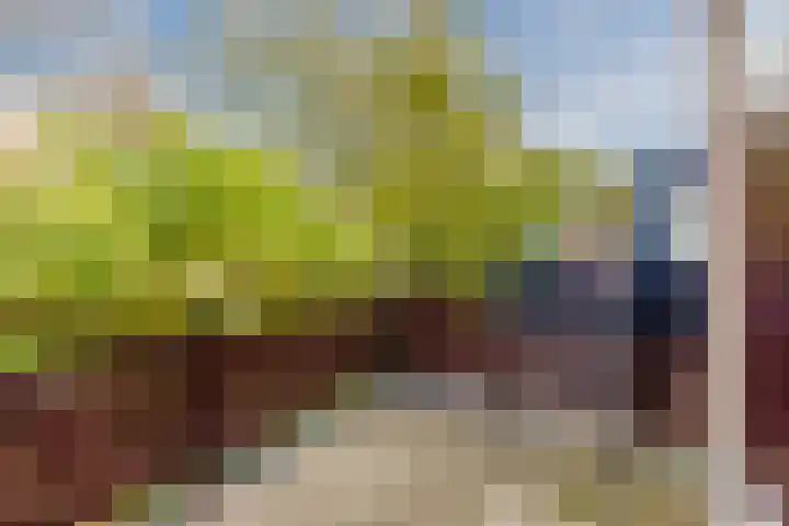 Roghorst 355 Wageningen thumbnail 40