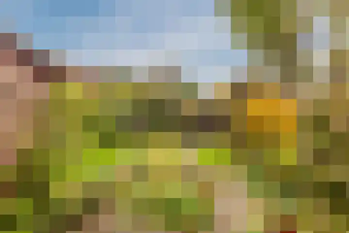 Roghorst 355 Wageningen thumbnail 45
