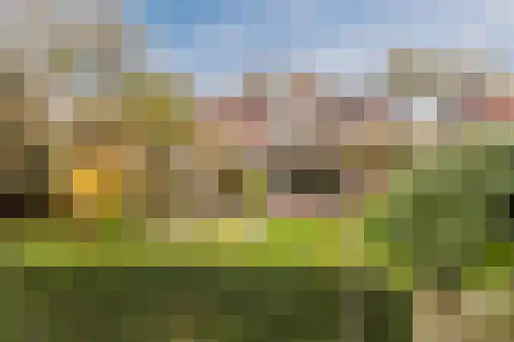 Roghorst 355 Wageningen thumbnail 47