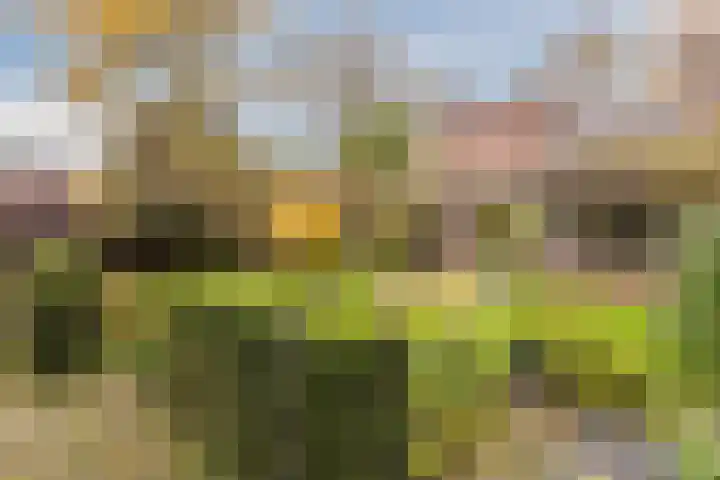 Roghorst 355 Wageningen thumbnail 48