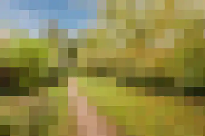 Roghorst 355 Wageningen thumbnail 49