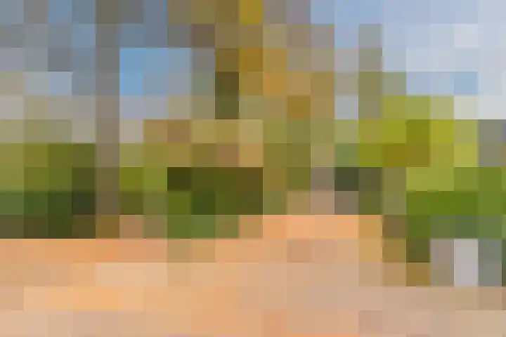 Roghorst 355 Wageningen thumbnail 51
