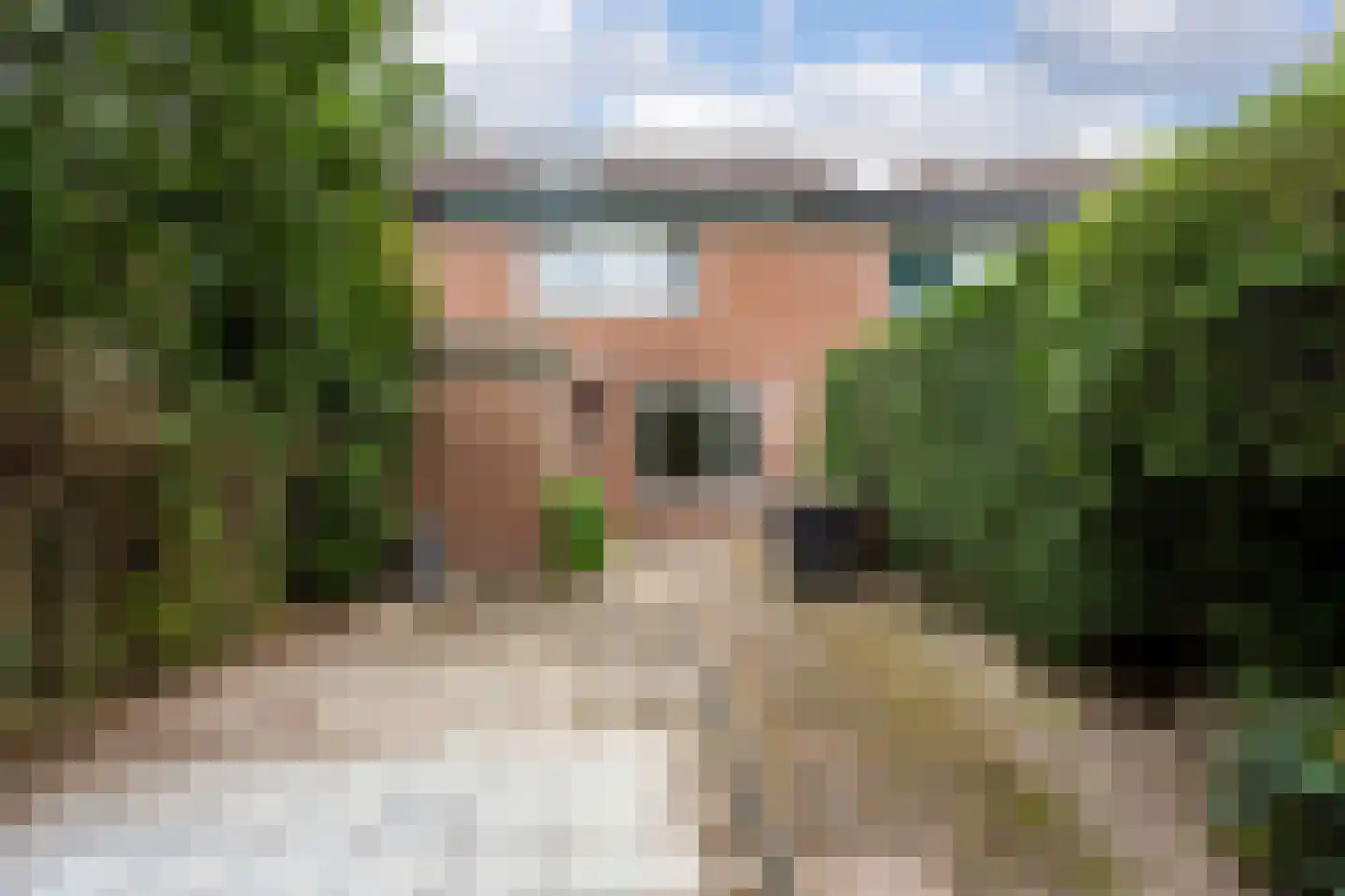 Roghorst 72 Wageningen thumbnail 5
