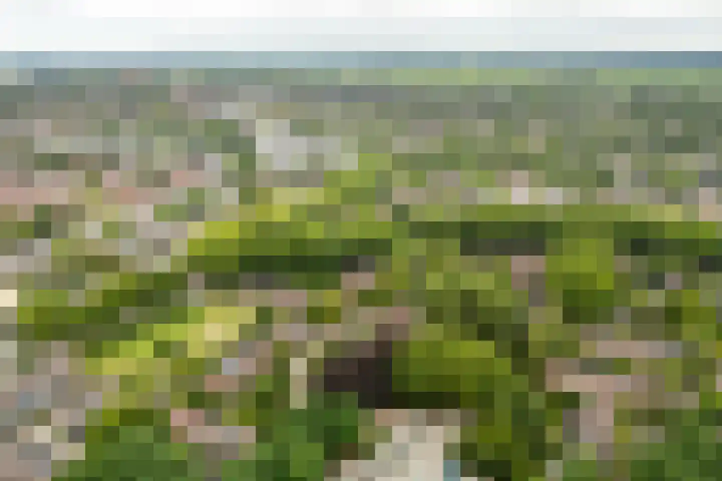 Roghorst 72 Wageningen thumbnail 6