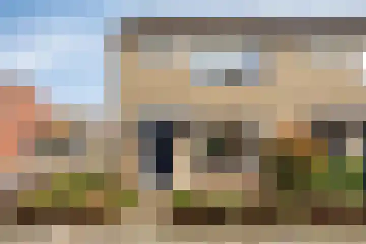 Photo of Rogier de Vries