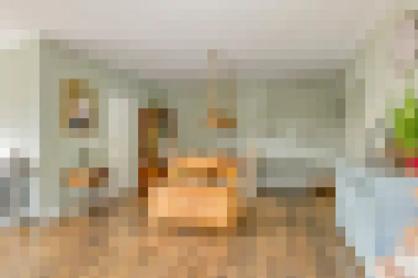 Rogier Monicxlaan 9 Beek en Donk thumbnail 18