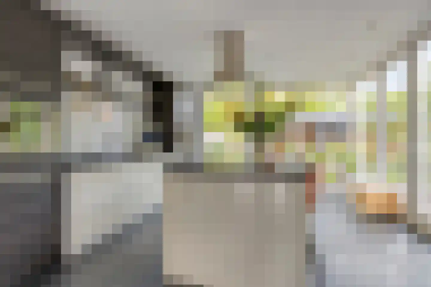 Rogier Monicxlaan 9 Beek en Donk thumbnail 21