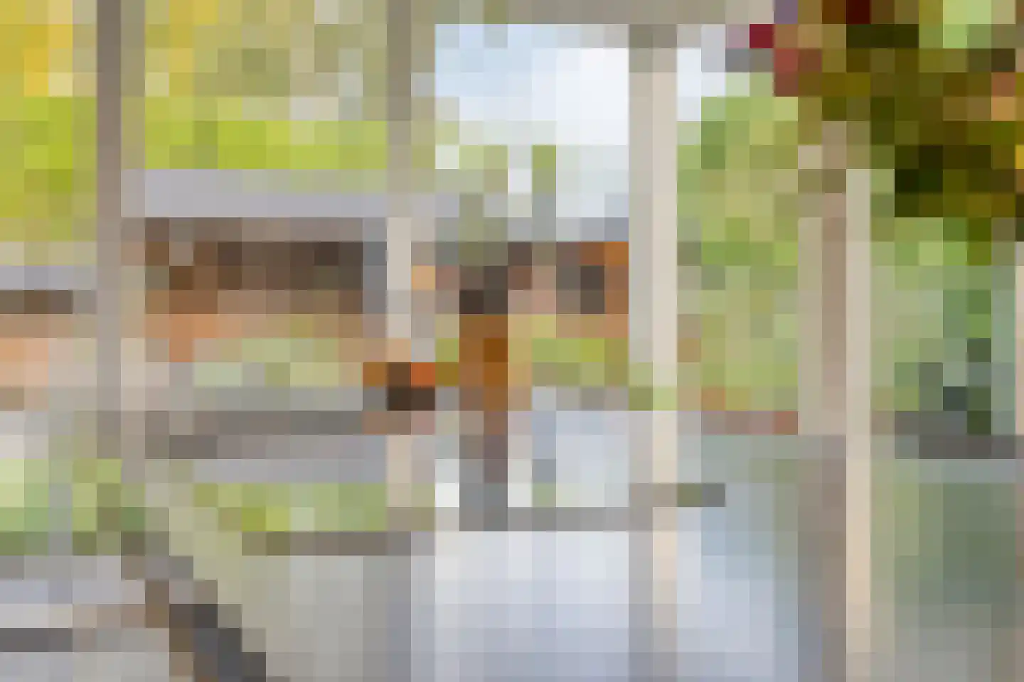 Rogier Monicxlaan 9 Beek en Donk thumbnail 24