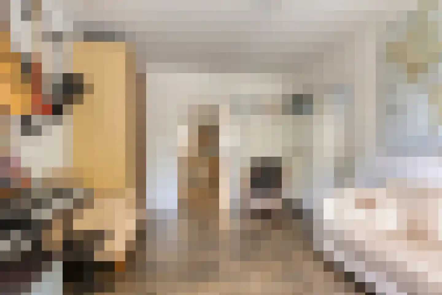 Rogier Monicxlaan 9 Beek en Donk thumbnail 30