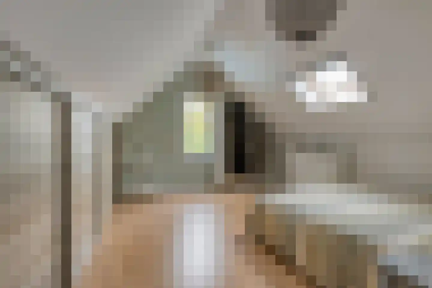 Rogier Monicxlaan 9 Beek en Donk thumbnail 39