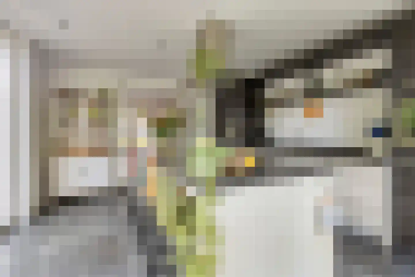 Rogier Monicxlaan 9 Beek en Donk thumbnail 4