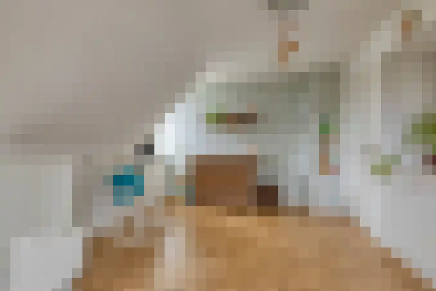 Rogier Monicxlaan 9 Beek en Donk thumbnail 45