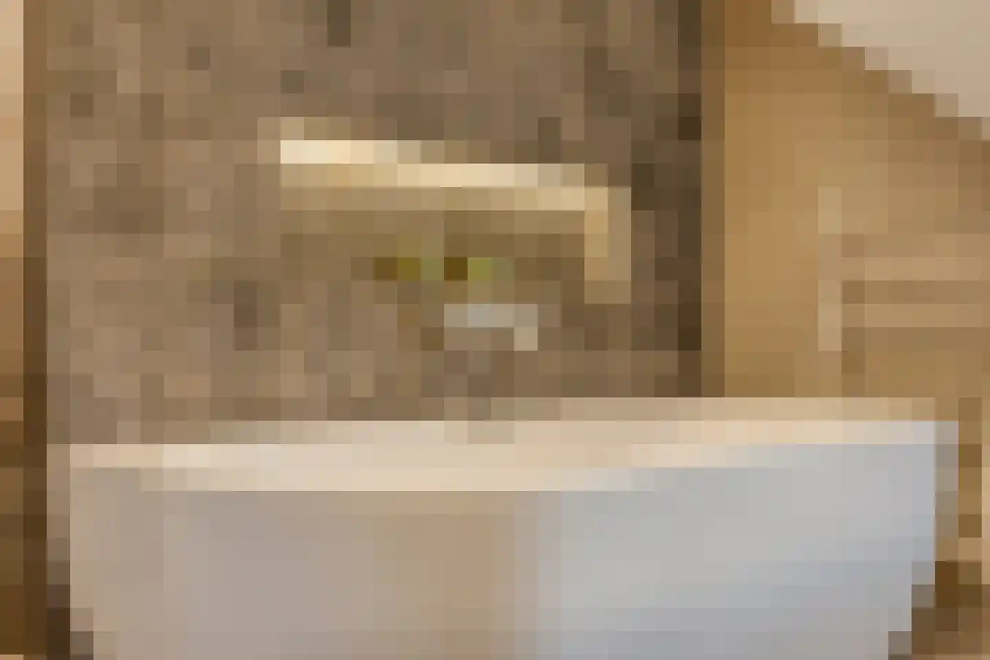 Rogier Monicxlaan 9 Beek en Donk thumbnail 48