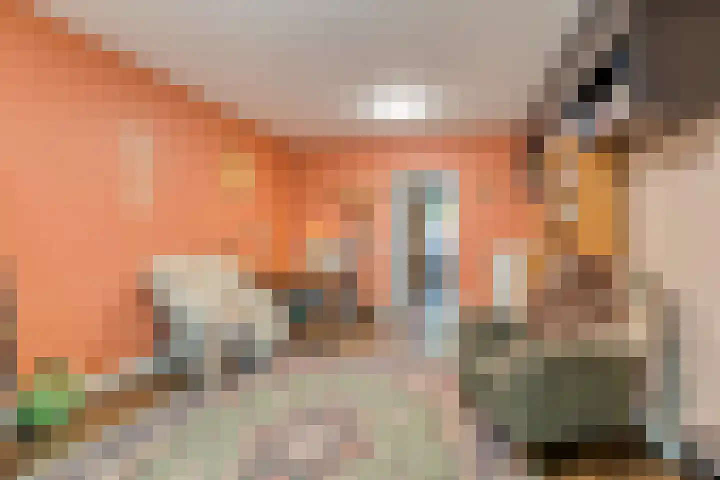 Rogier Monicxlaan 9 Beek en Donk thumbnail 5