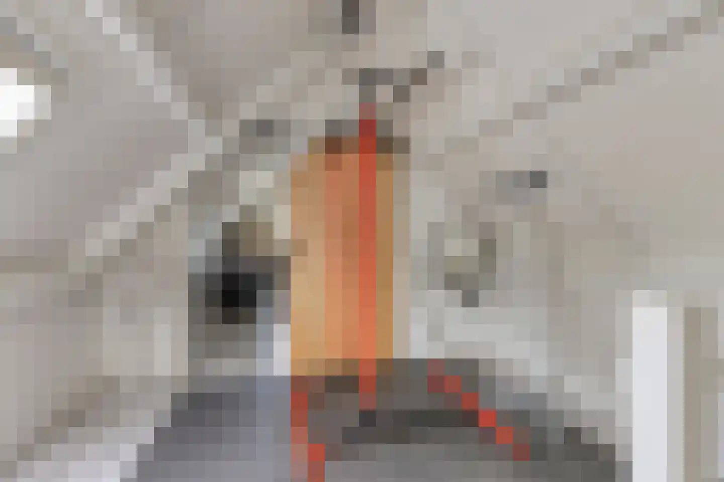 Rogier Monicxlaan 9 Beek en Donk thumbnail 55