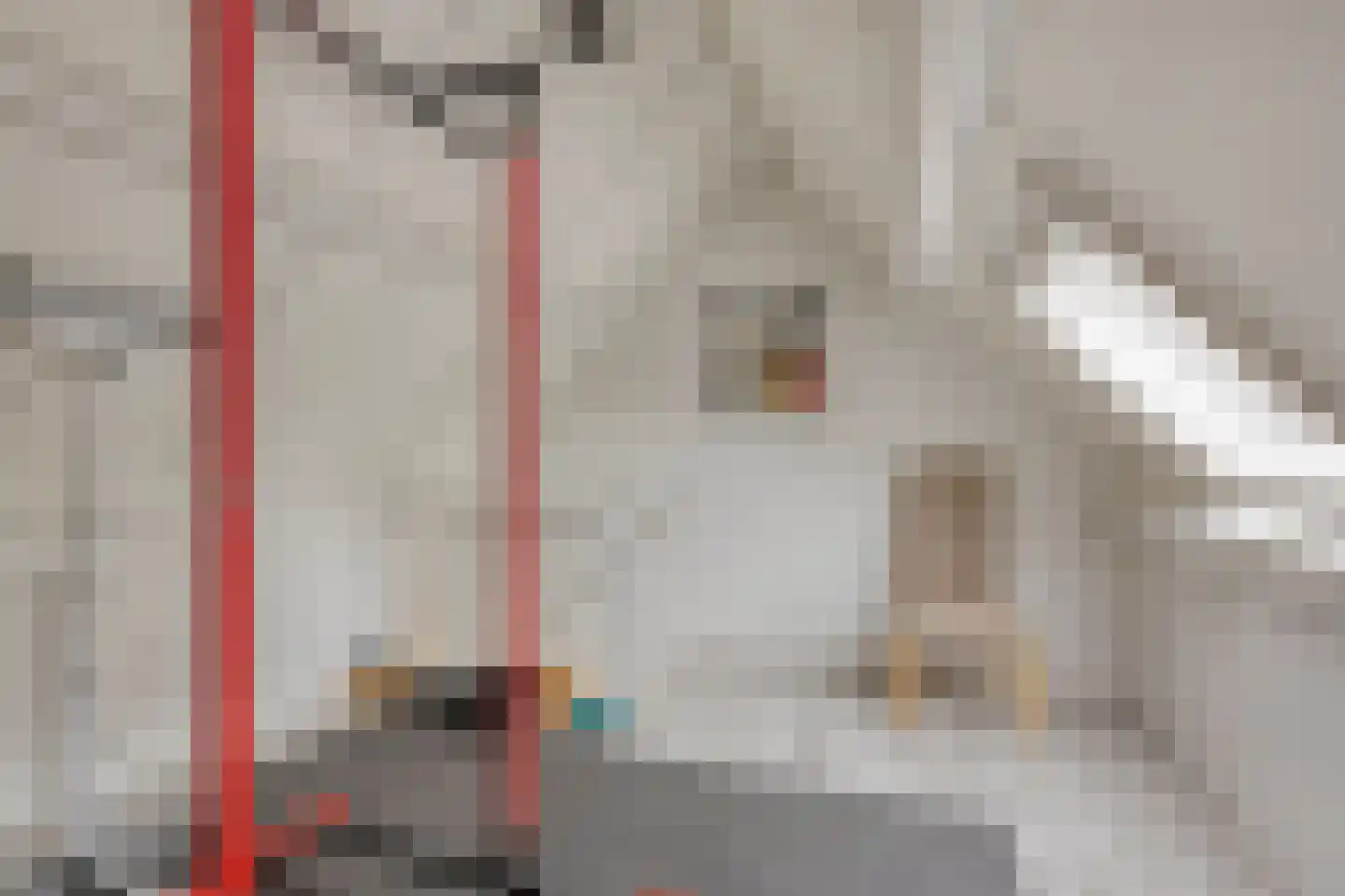 Rogier Monicxlaan 9 Beek en Donk thumbnail 56