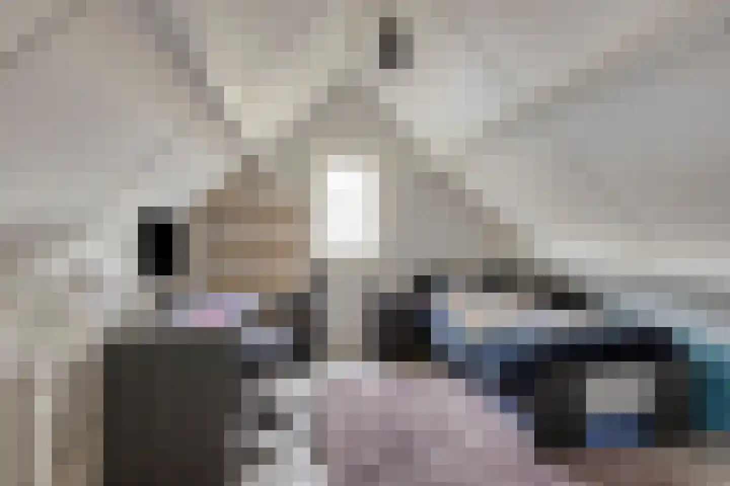 Rogier Monicxlaan 9 Beek en Donk thumbnail 57