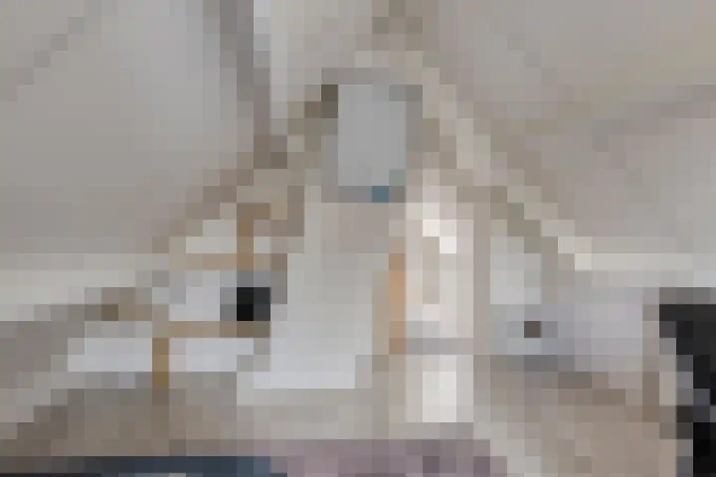 Rogier Monicxlaan 9 Beek en Donk thumbnail 58