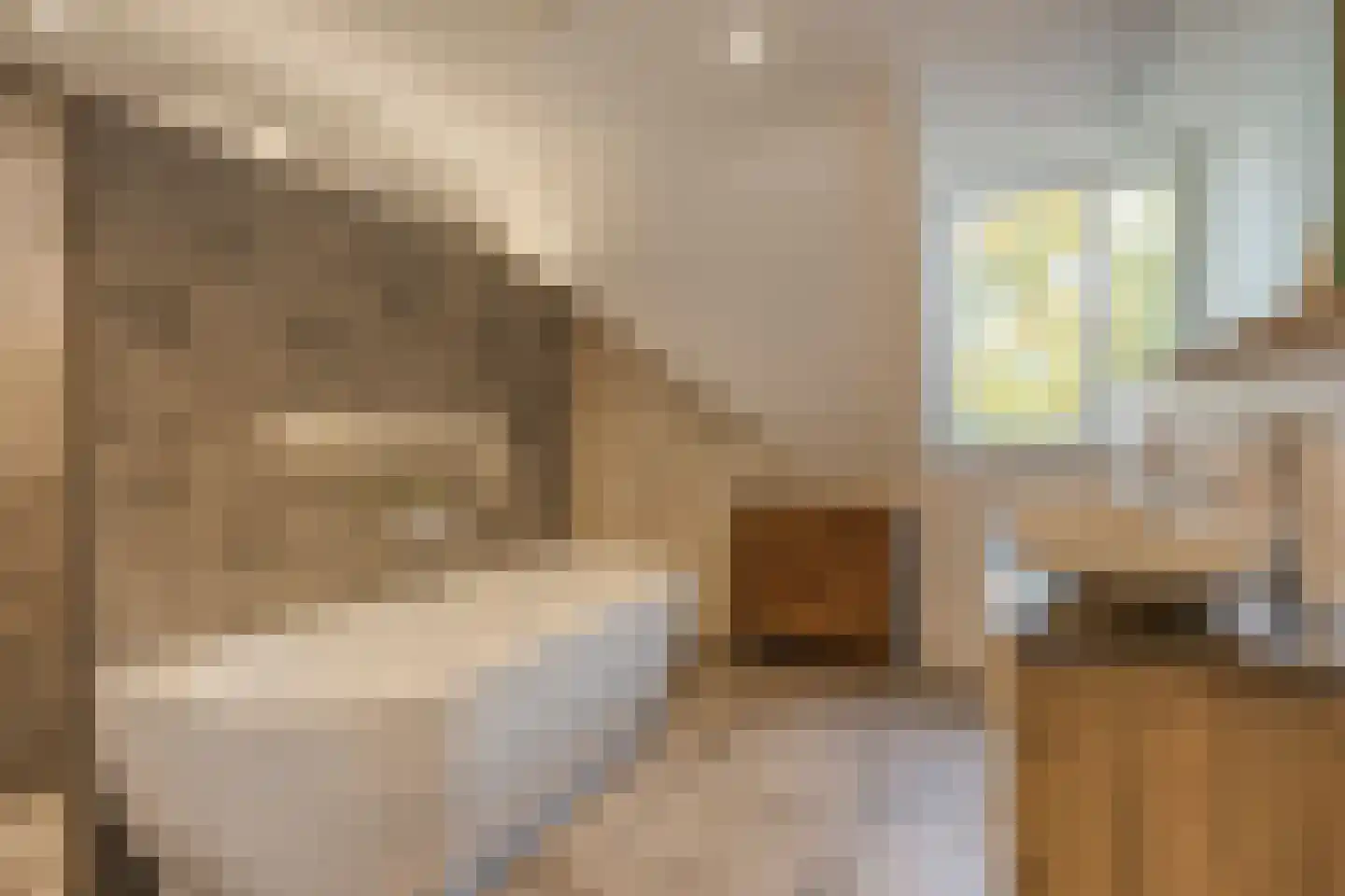 Rogier Monicxlaan 9 Beek en Donk thumbnail 6