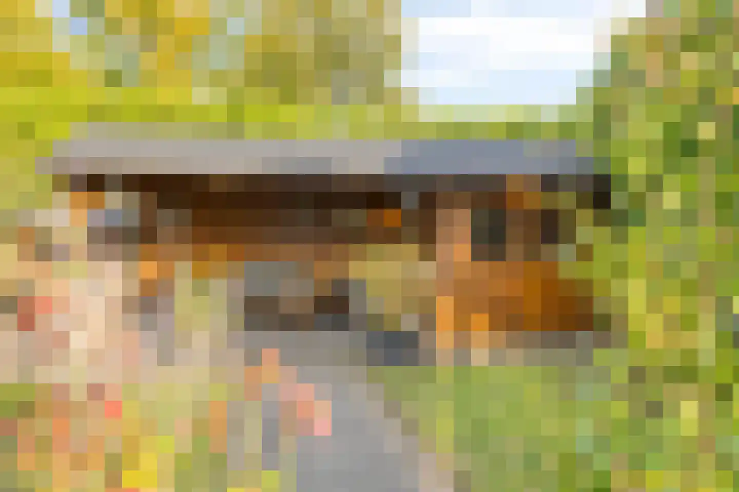 Rogier Monicxlaan 9 Beek en Donk thumbnail 62
