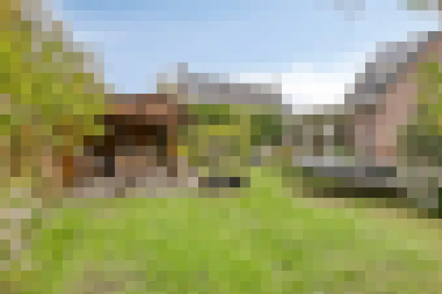 Rogier Monicxlaan 9 Beek en Donk thumbnail 64