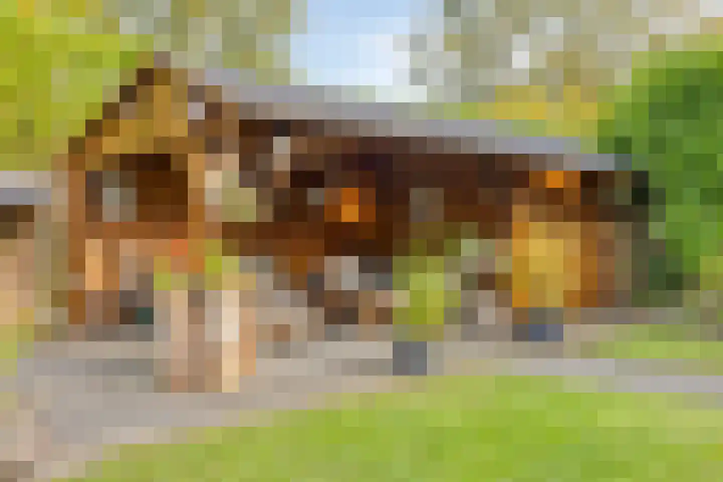 Rogier Monicxlaan 9 Beek en Donk thumbnail 65