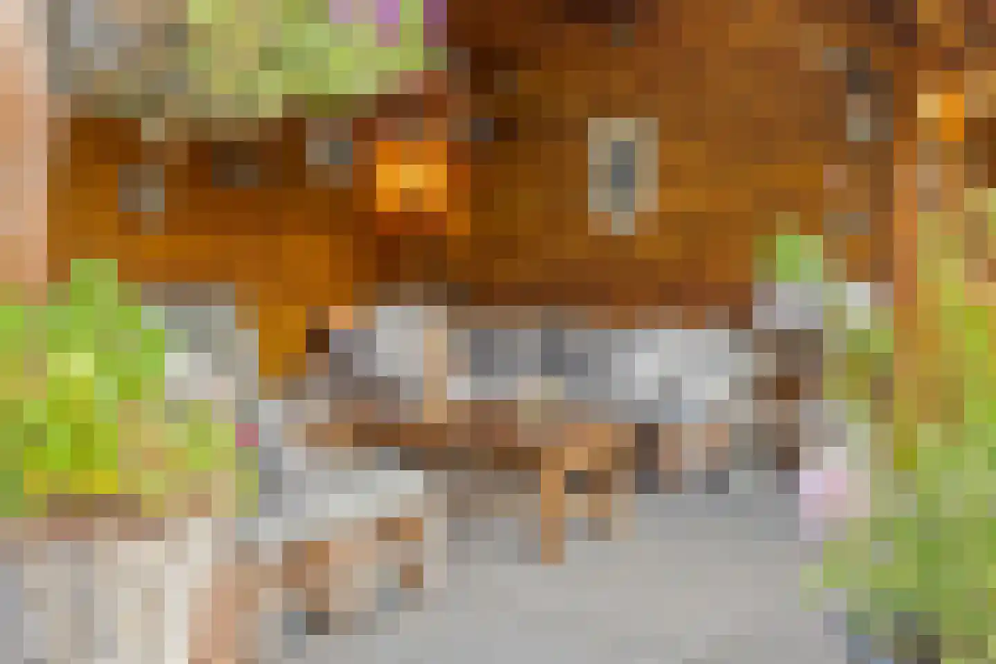 Rogier Monicxlaan 9 Beek en Donk thumbnail 67