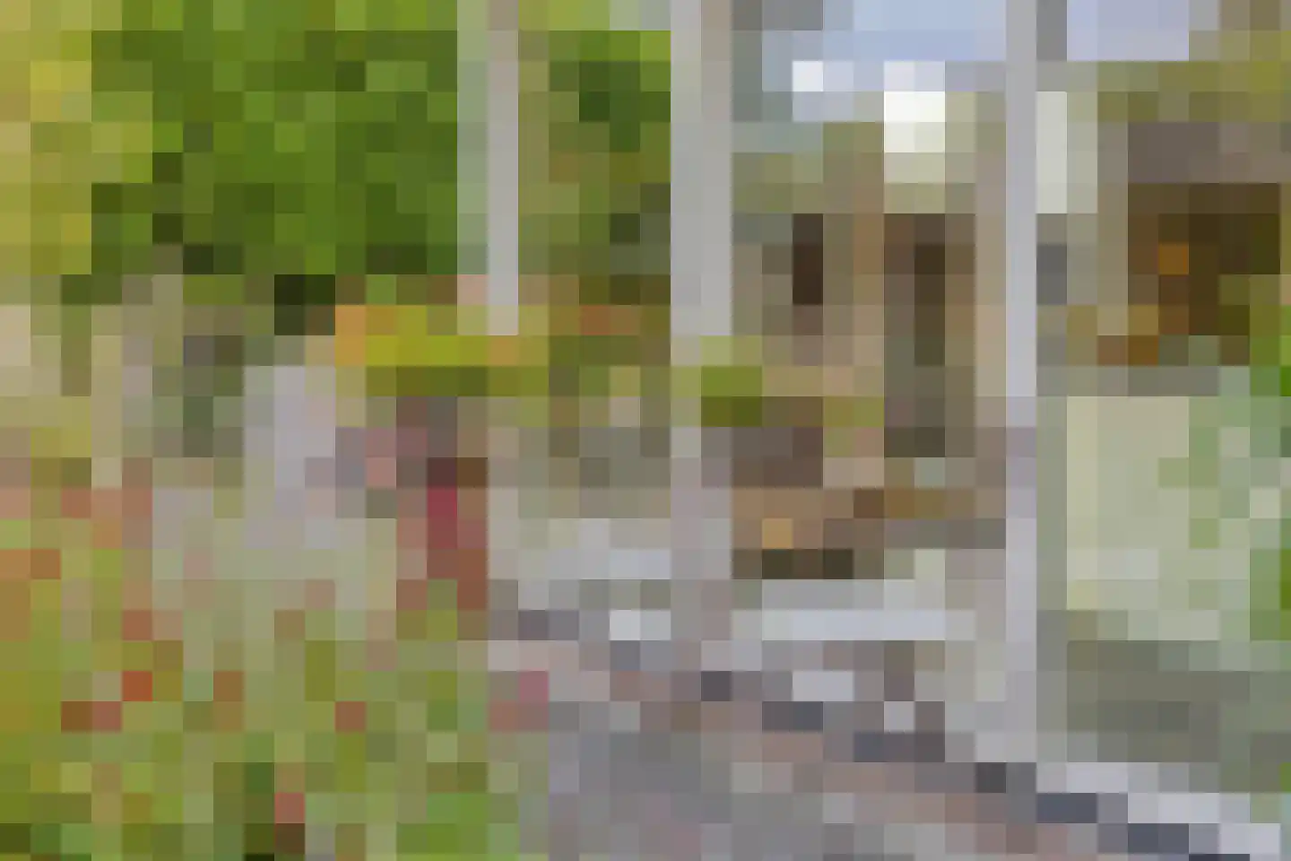 Rogier Monicxlaan 9 Beek en Donk thumbnail 69