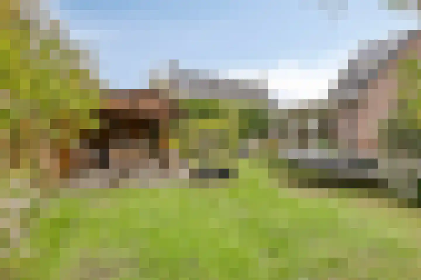 Rogier Monicxlaan 9 Beek en Donk thumbnail 7