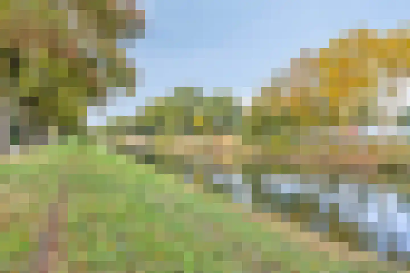 Rogier Monicxlaan 9 Beek en Donk thumbnail 74