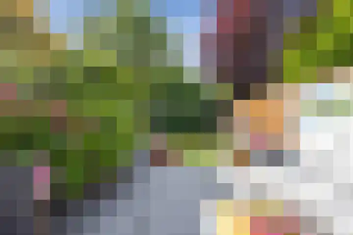 Rogier van der Weydenlaan 41 Bilthoven thumbnail 10
