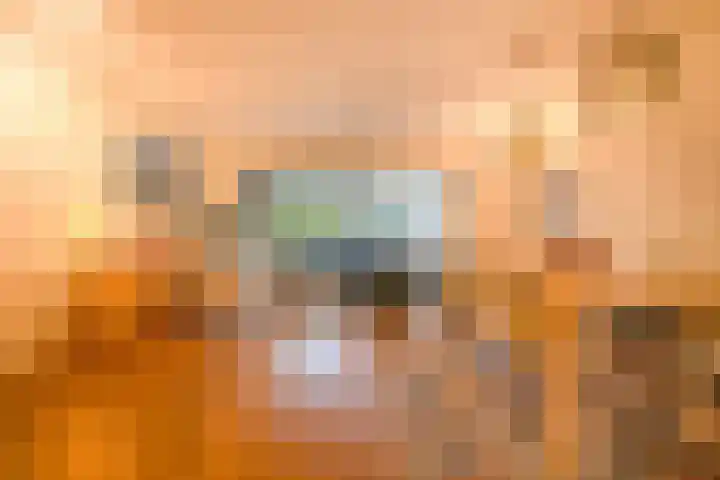 Rogier van der Weydenlaan 41 Bilthoven thumbnail 14