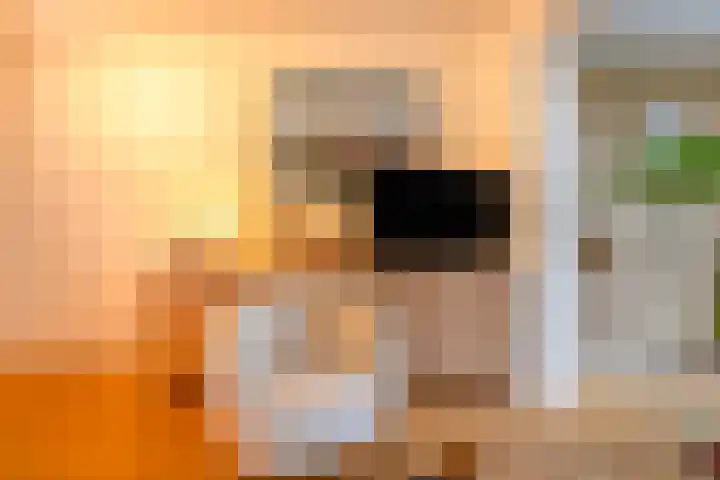 Rogier van der Weydenlaan 41 Bilthoven thumbnail 15