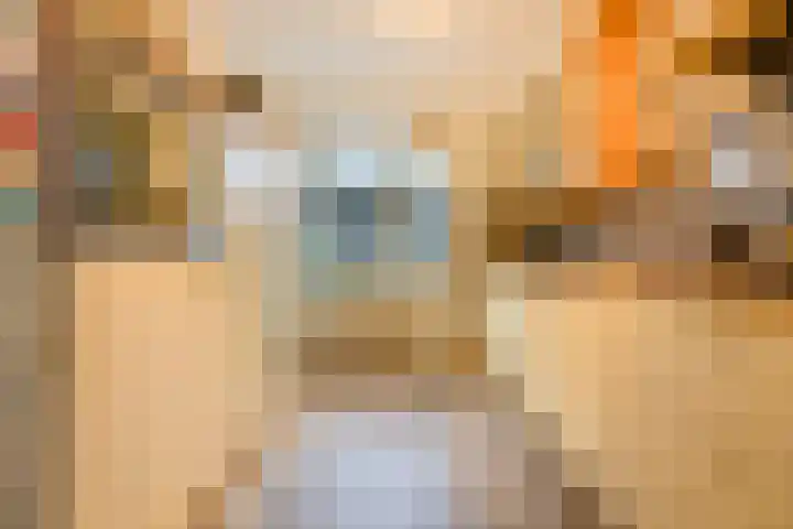 Rogier van der Weydenlaan 41 Bilthoven thumbnail 16