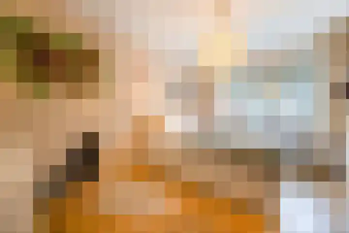 Rogier van der Weydenlaan 41 Bilthoven thumbnail 27