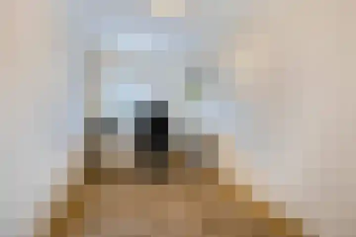 Rogier van der Weydenlaan 41 Bilthoven thumbnail 29